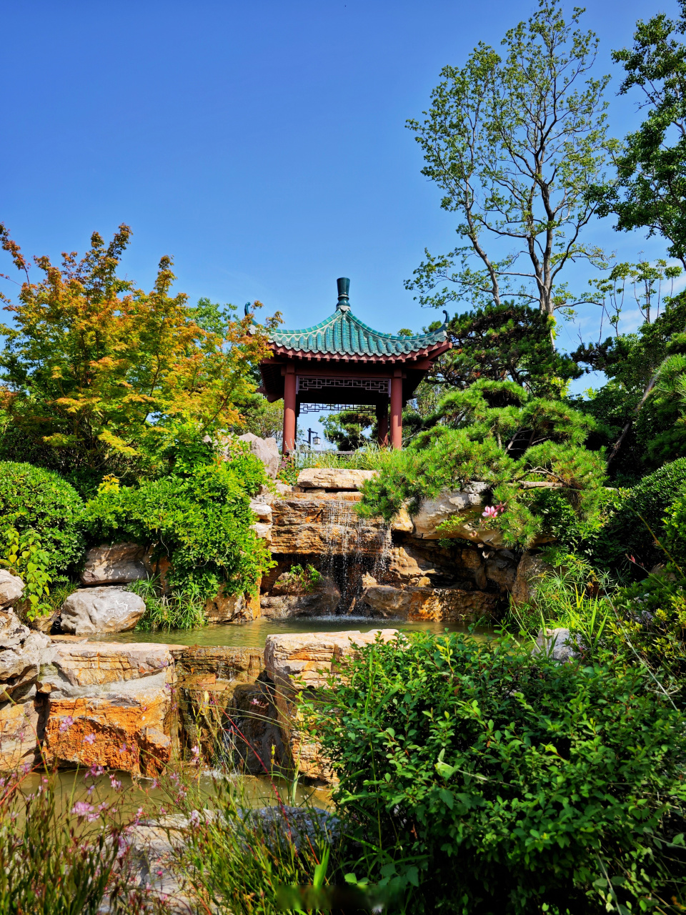 荆门园博园开园以来,已经反复逛过很多次,但每次来都有新的惊喜.  或