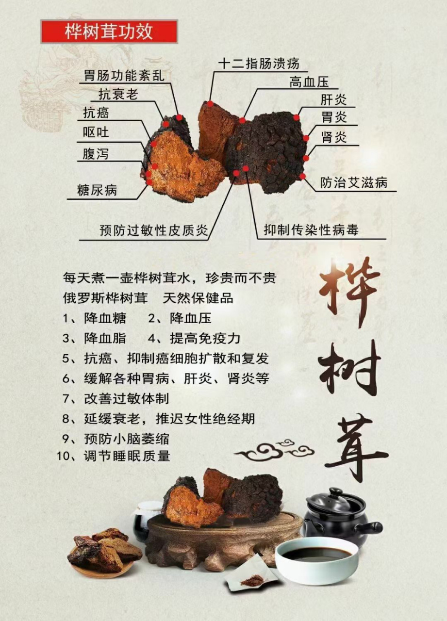 中文学名:桦树茸 中文学名:桦树茸 别称:桦树菇,桦褐孔菌,西伯利亚