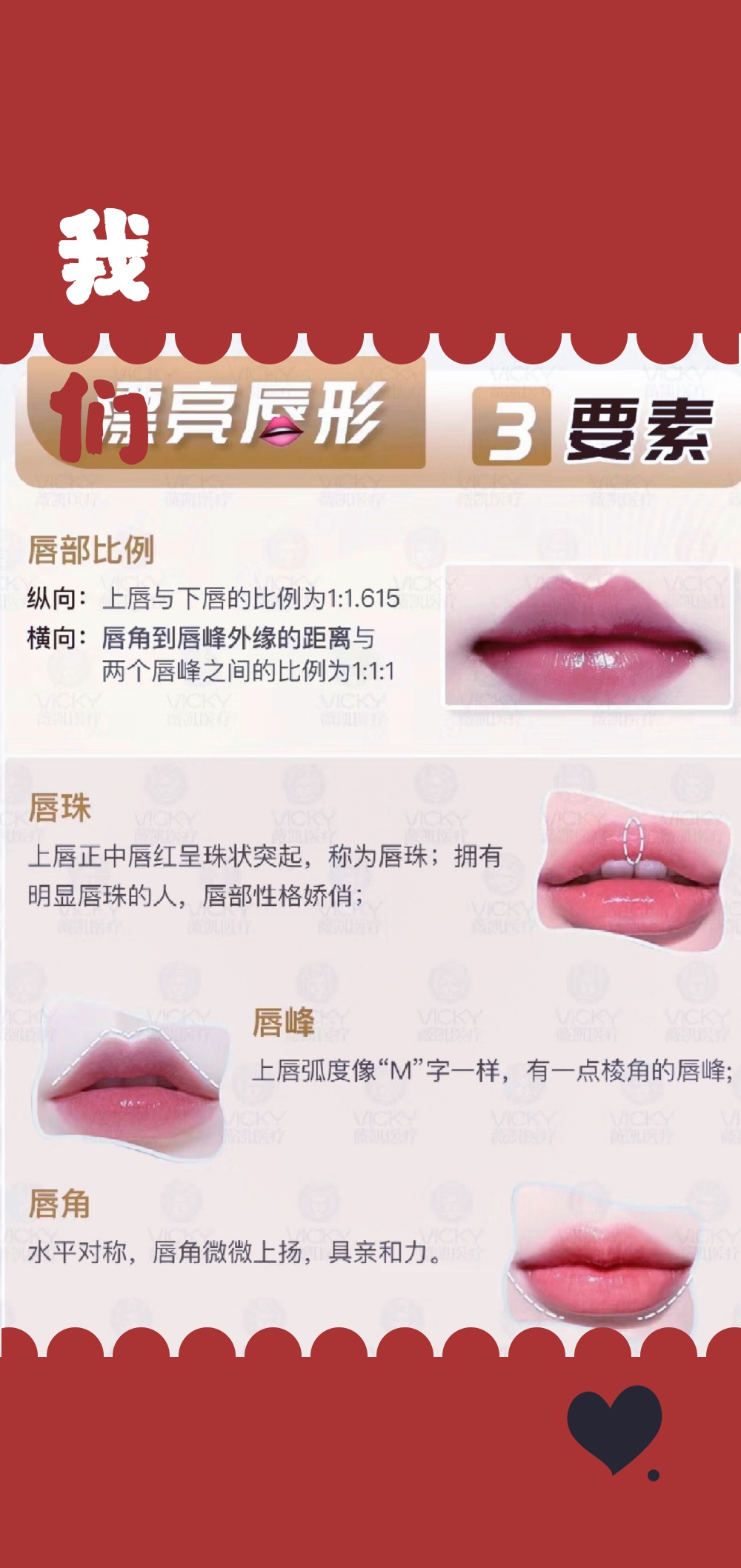唇峰明显 上唇的唇红线呈弓形称为唇峰,唇峰要比较立体有型,这样的