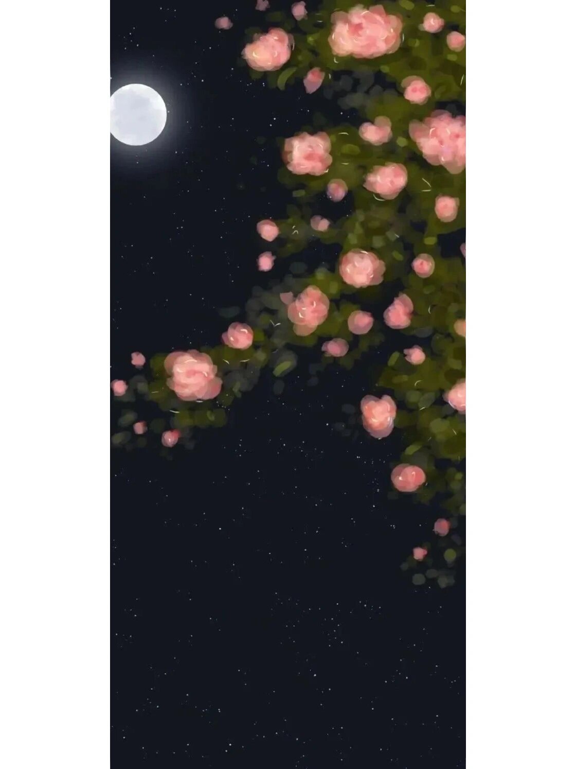 手机壁纸