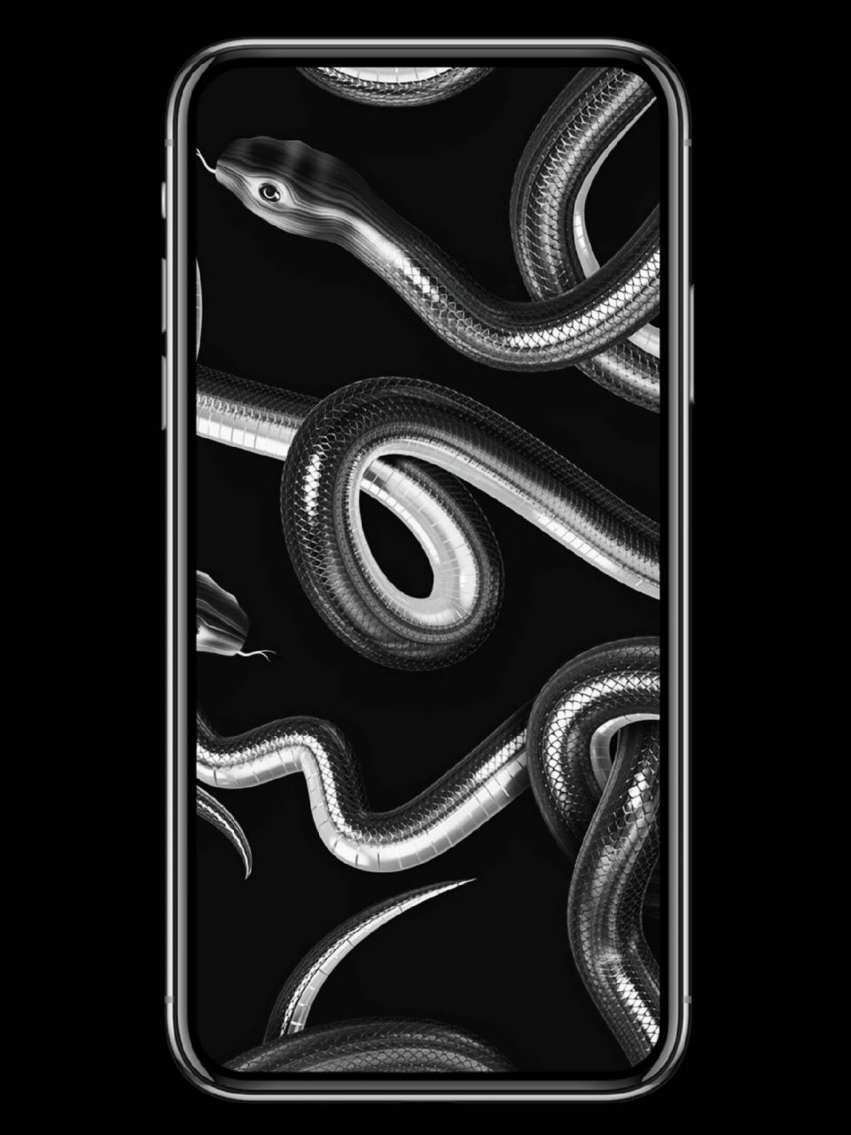 balenciaga 03 手机壁纸