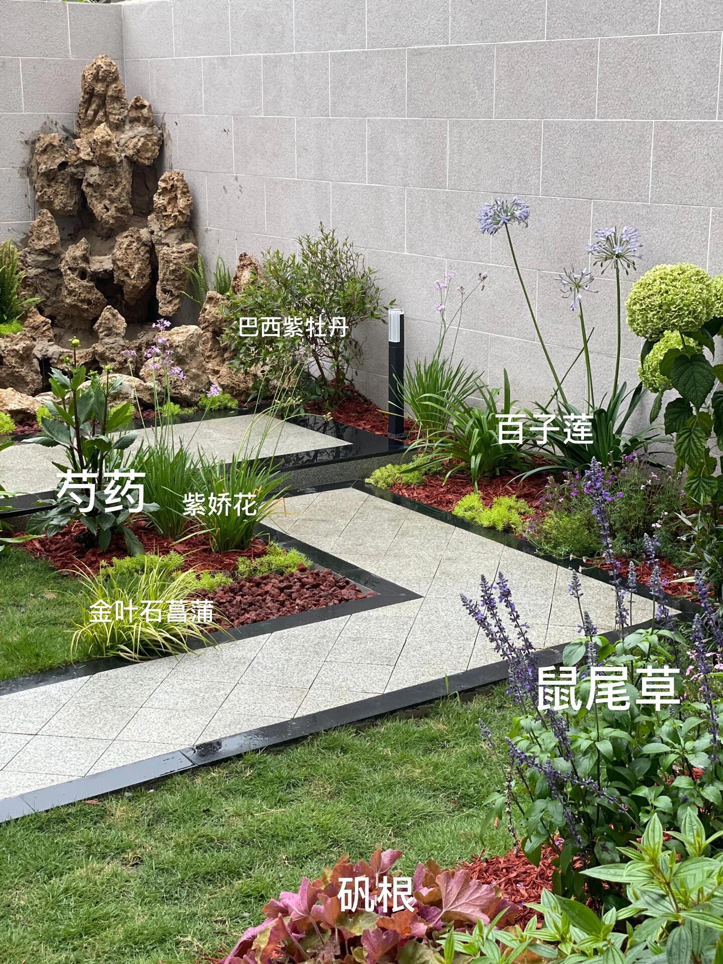 花园设计|分享一个现代别墅庭院的植物搭配