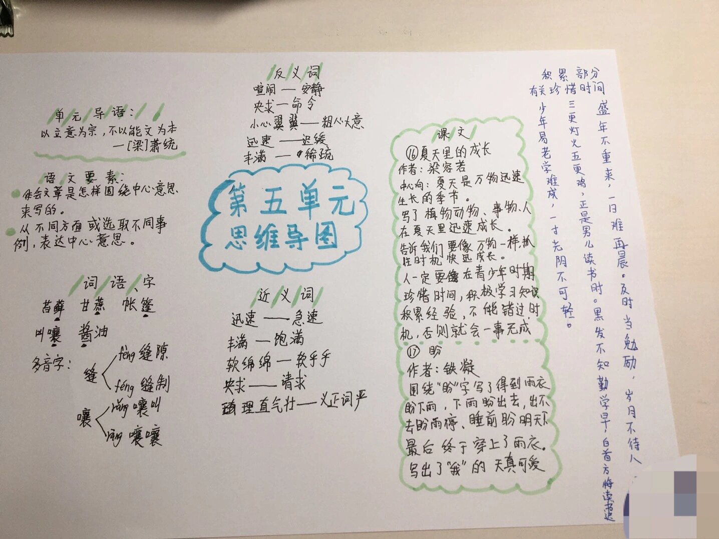 六年级上册语文第五单元思维导图