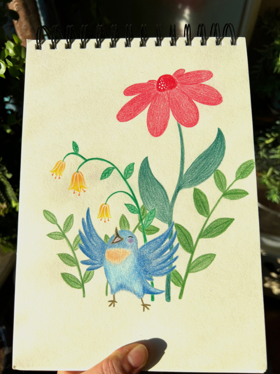 鸟语花香(彩铅画.