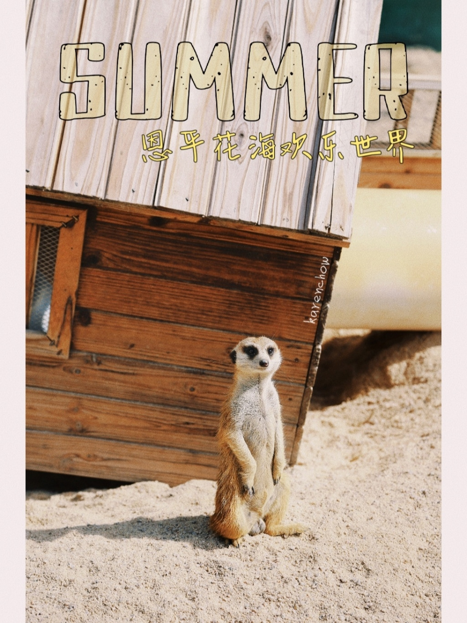 江门旅游推荐|去恩平花海欢乐世界看动物 本来以为去花海欢乐世界看