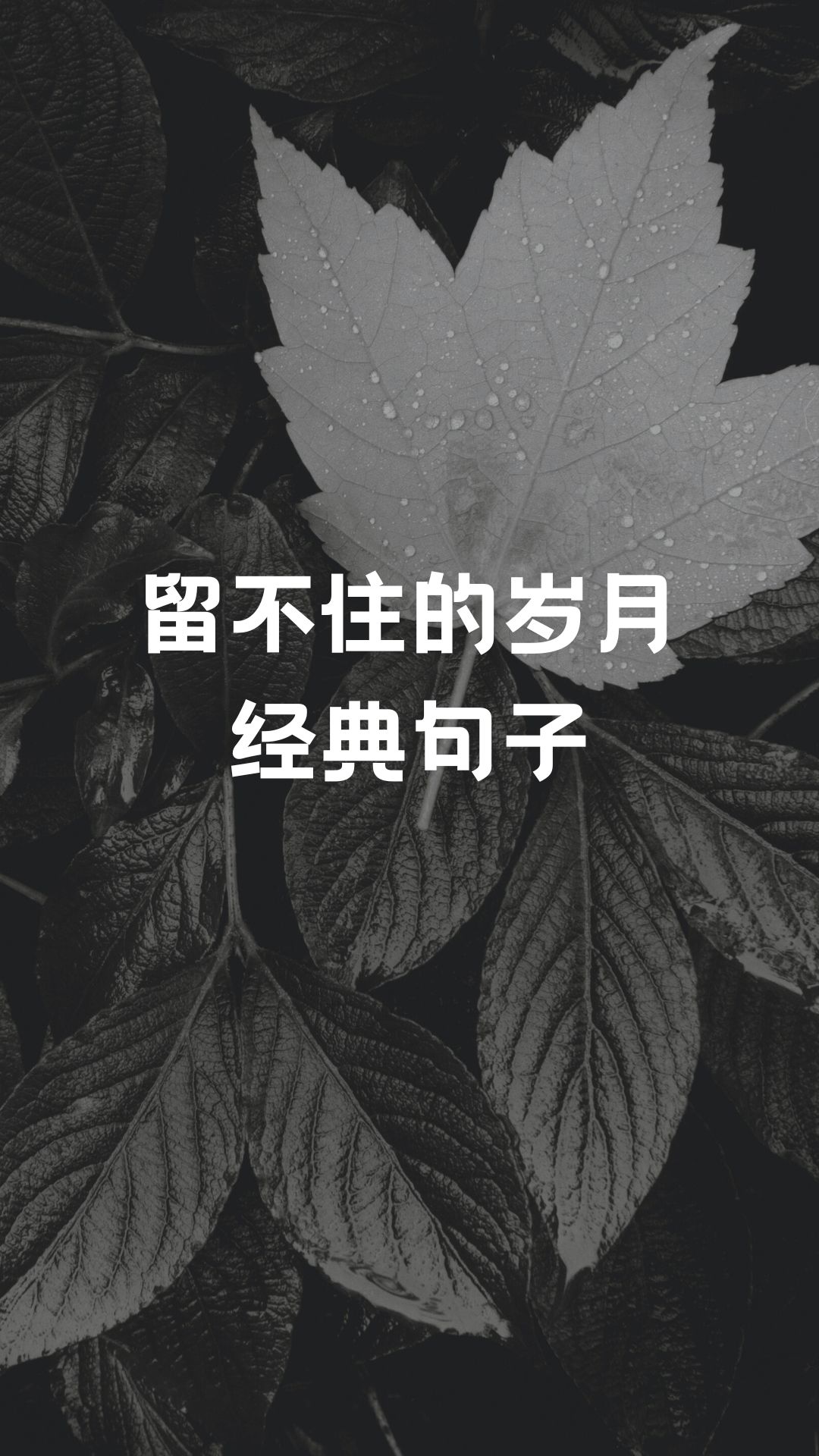 经典语录唯美 回忆图片