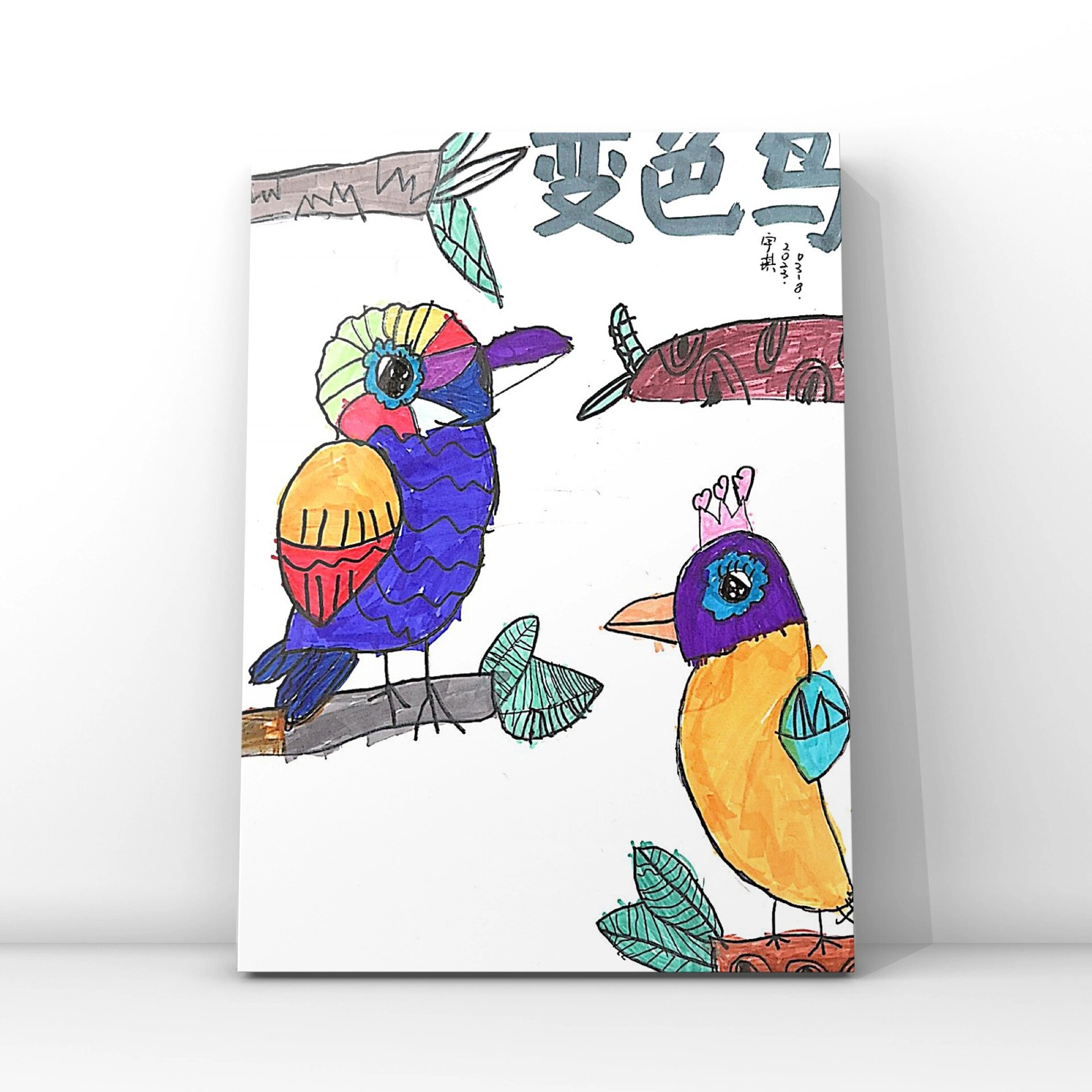 绘本|《变色鸟》 96年龄:中大班 	 本节课学习了鸟的外形特点以及