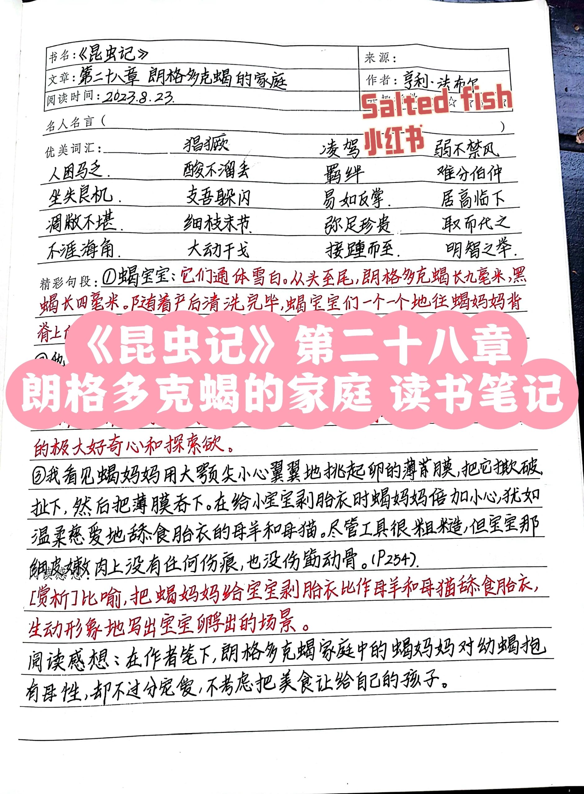 《昆虫记》第二十八章 读书笔记 书名:《昆虫记》 文章:第二十八章