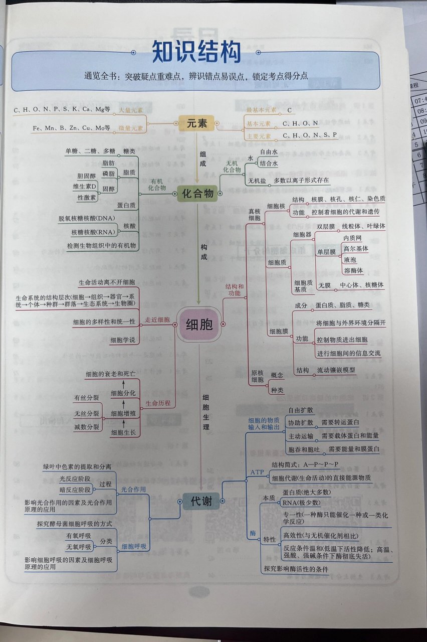 生物的进化知识框架图图片