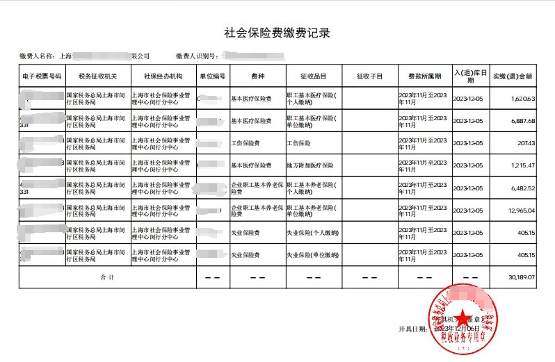 社保缴费清单图片