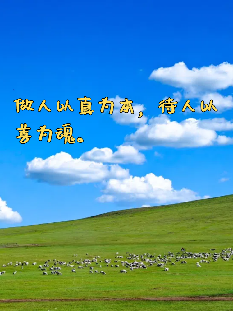 做人真诚与善良的简短句子如下: 真诚待人,心自安;善良处世,福自来.