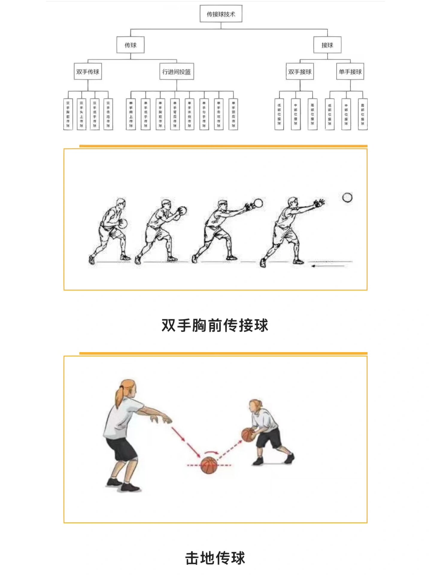 体育教学篮球技术动作图解