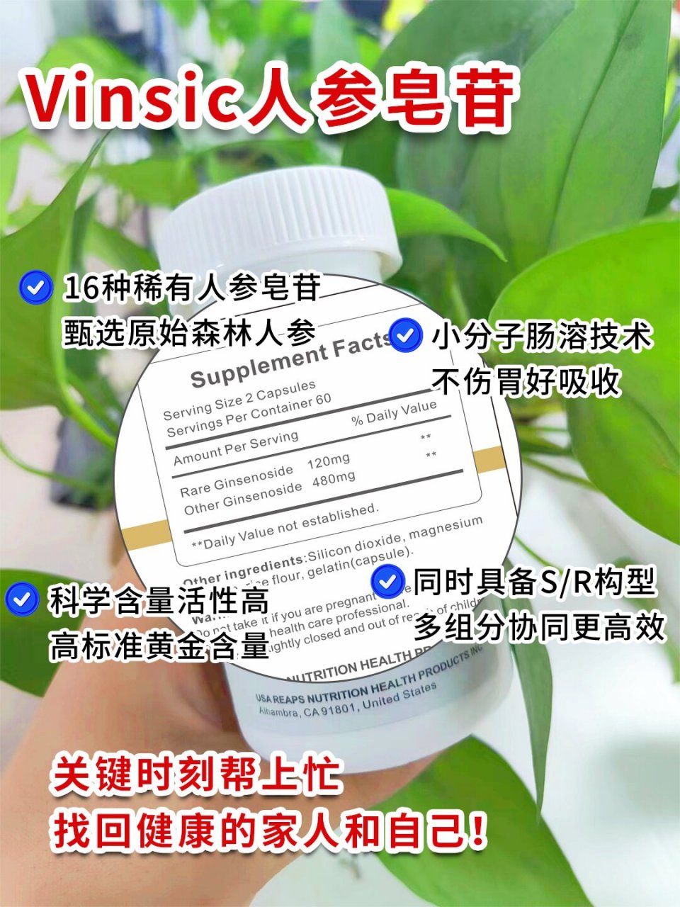 很多小伙伴对人参皂苷比较陌生,很容易把人参和人参皂苷混淆,比如,术