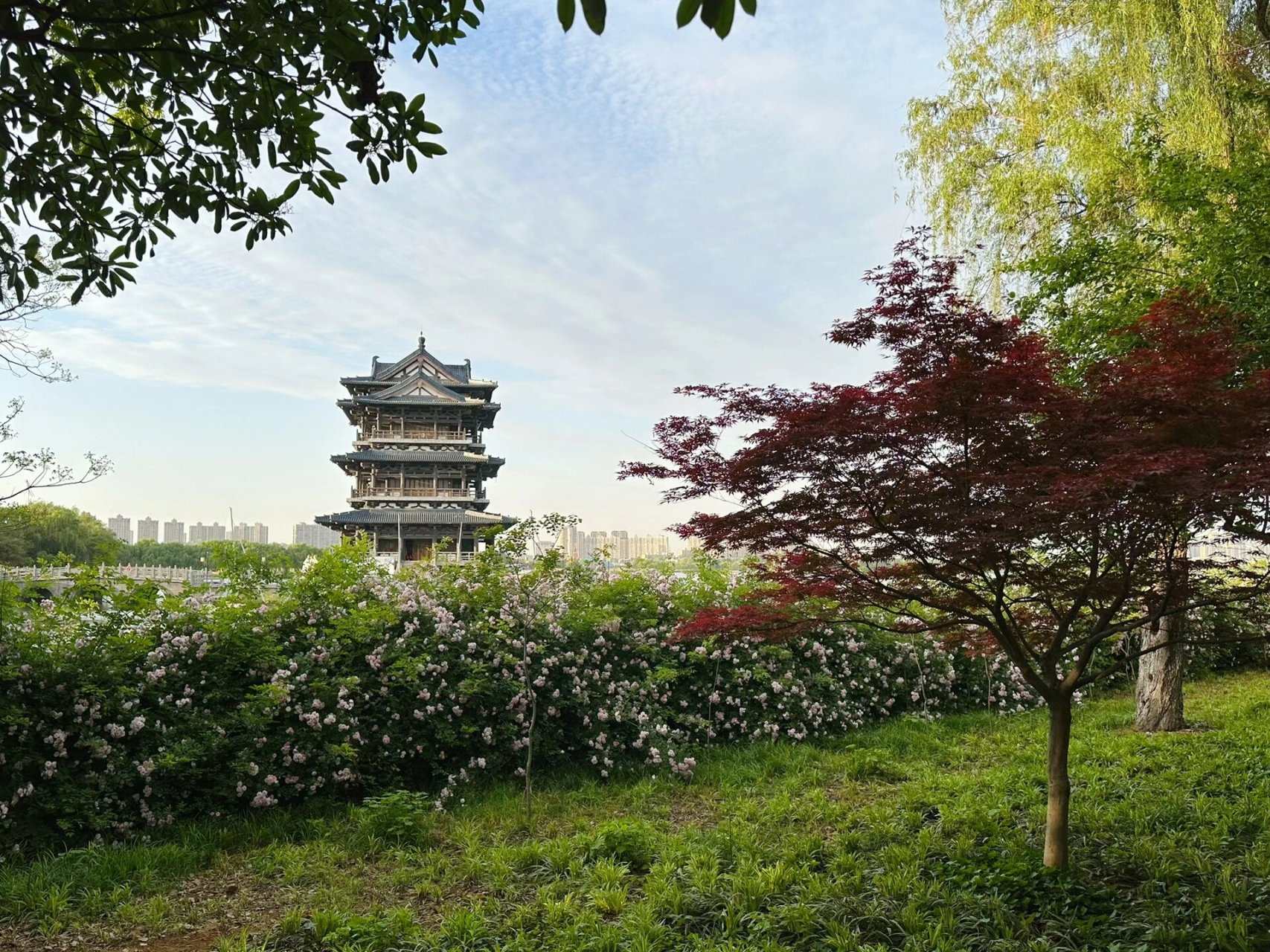 宜兴d1|团氿风景区·宜园 宜兴,景色被我低估的城市 从未在我的出游