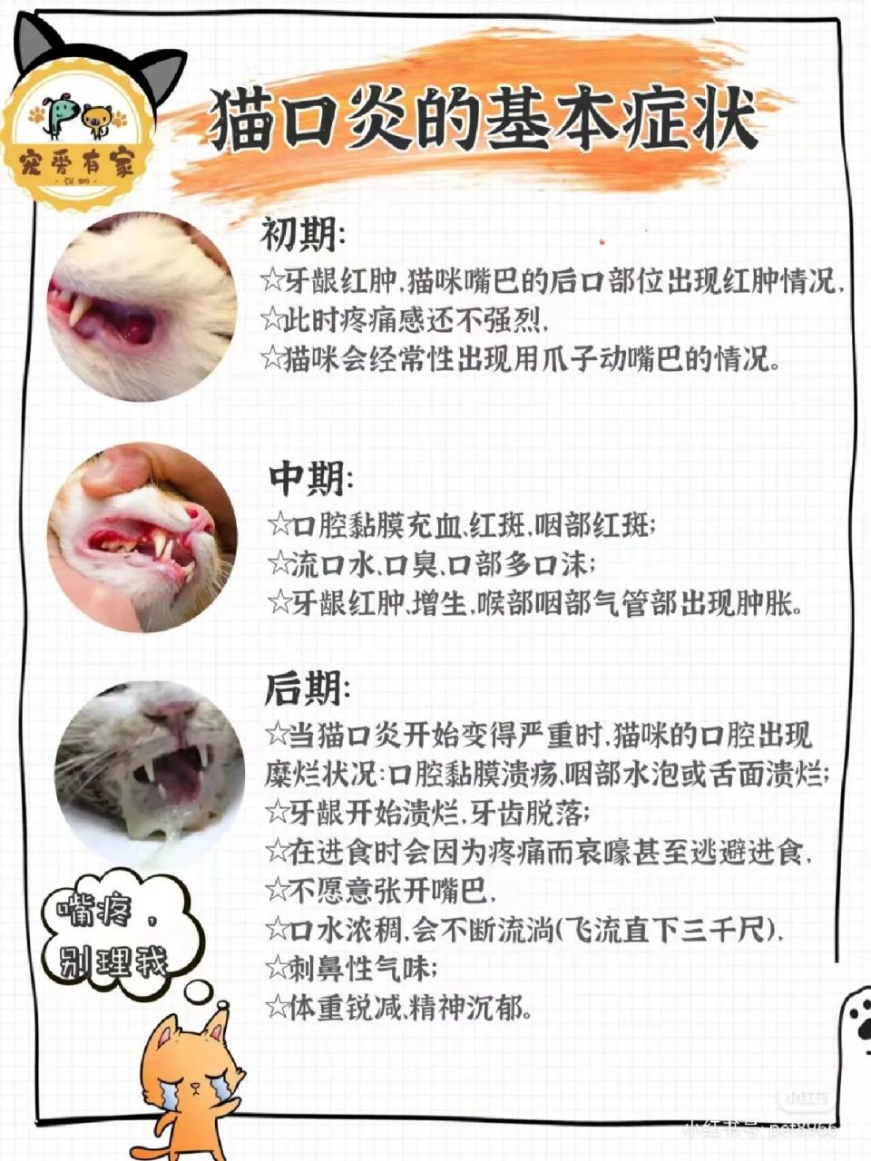 治猫咪口炎的好办法,救助群里大家都在用 辉瑞制药的希舒美阿奇霉素三