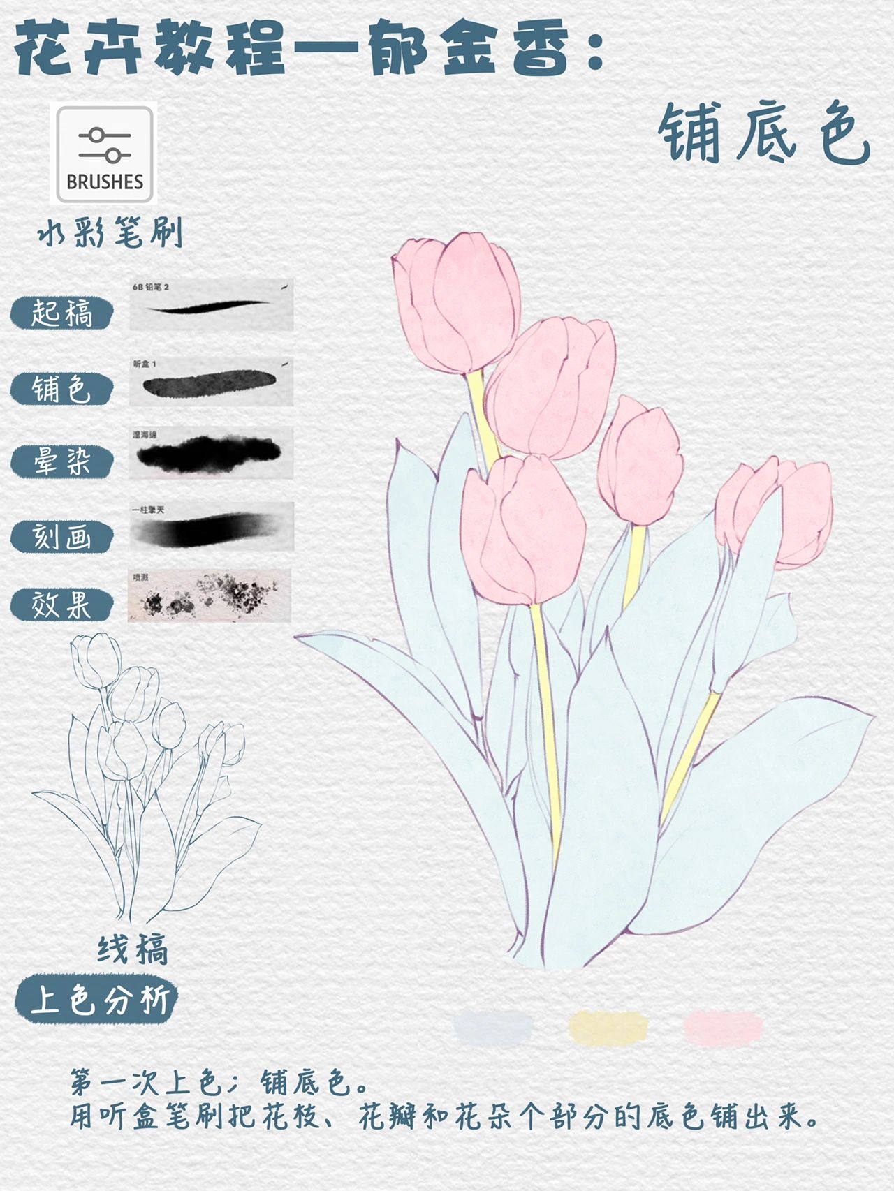 水彩入门|郁金香93|花卉系列分解步骤