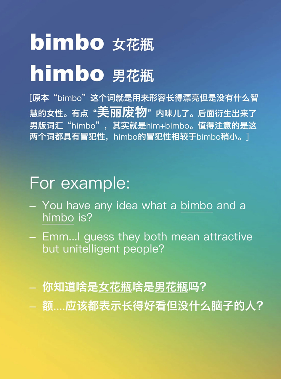 bimbo 女花瓶 himbo 男花瓶 	  	 for example: you have any idea