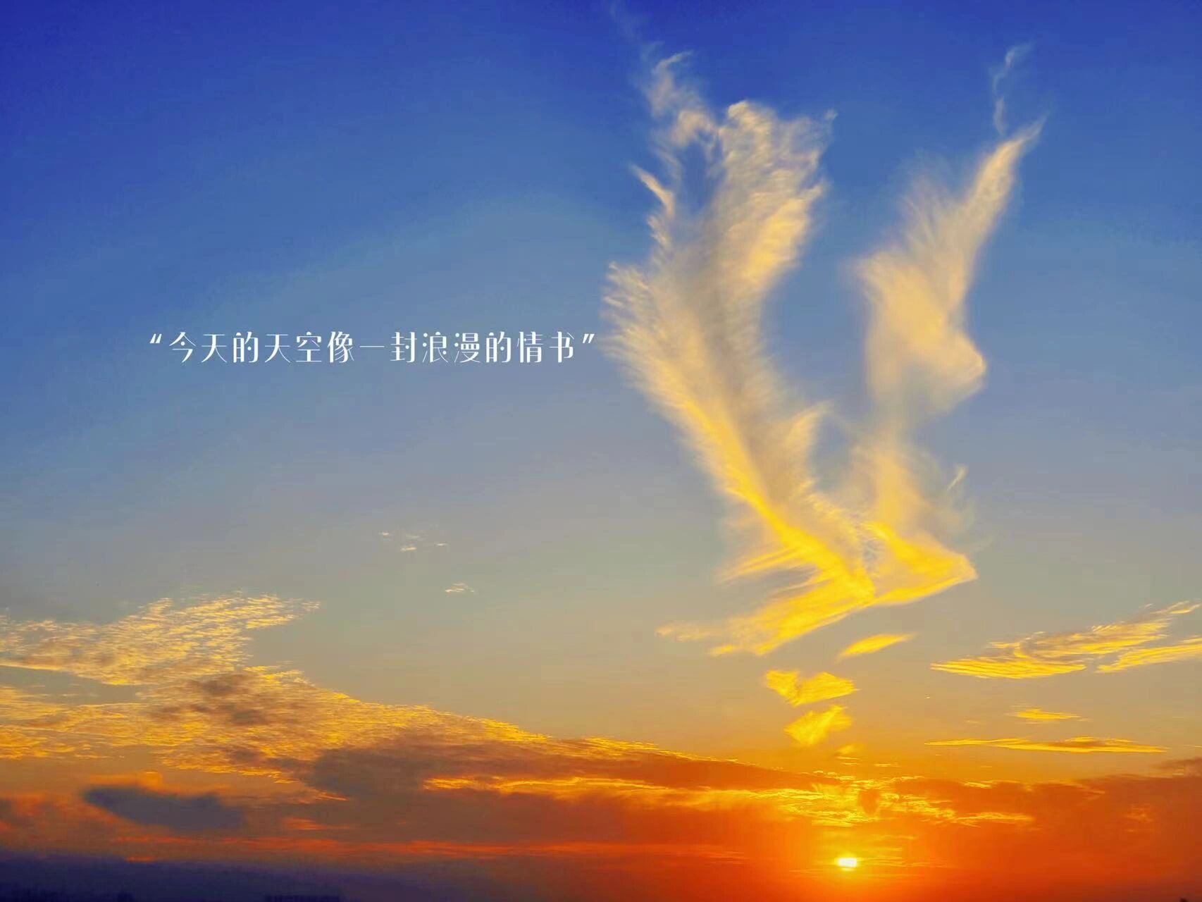 南昌凤凰云☁️吉祥云 今天的云☁️像凤凰一样浴火重生凤凰