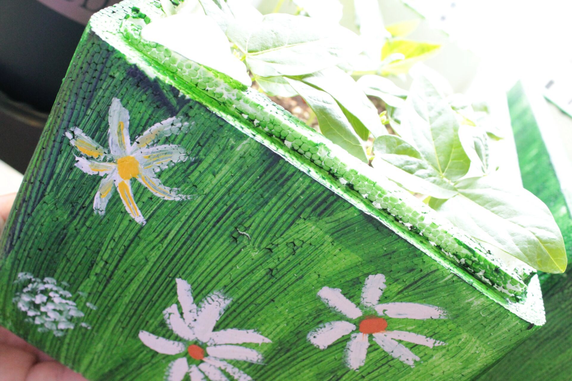 泡沫箱改造后美翻了   我是画画小白,乱画一通,还算满意,勿喷.