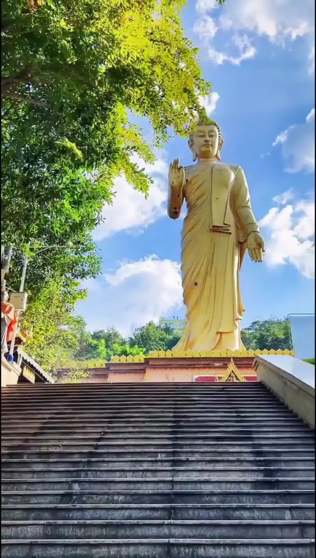 云南西双版纳勐泐大佛寺,大金塔,大金佛,孔雀放飞_西双版纳勐泐文化