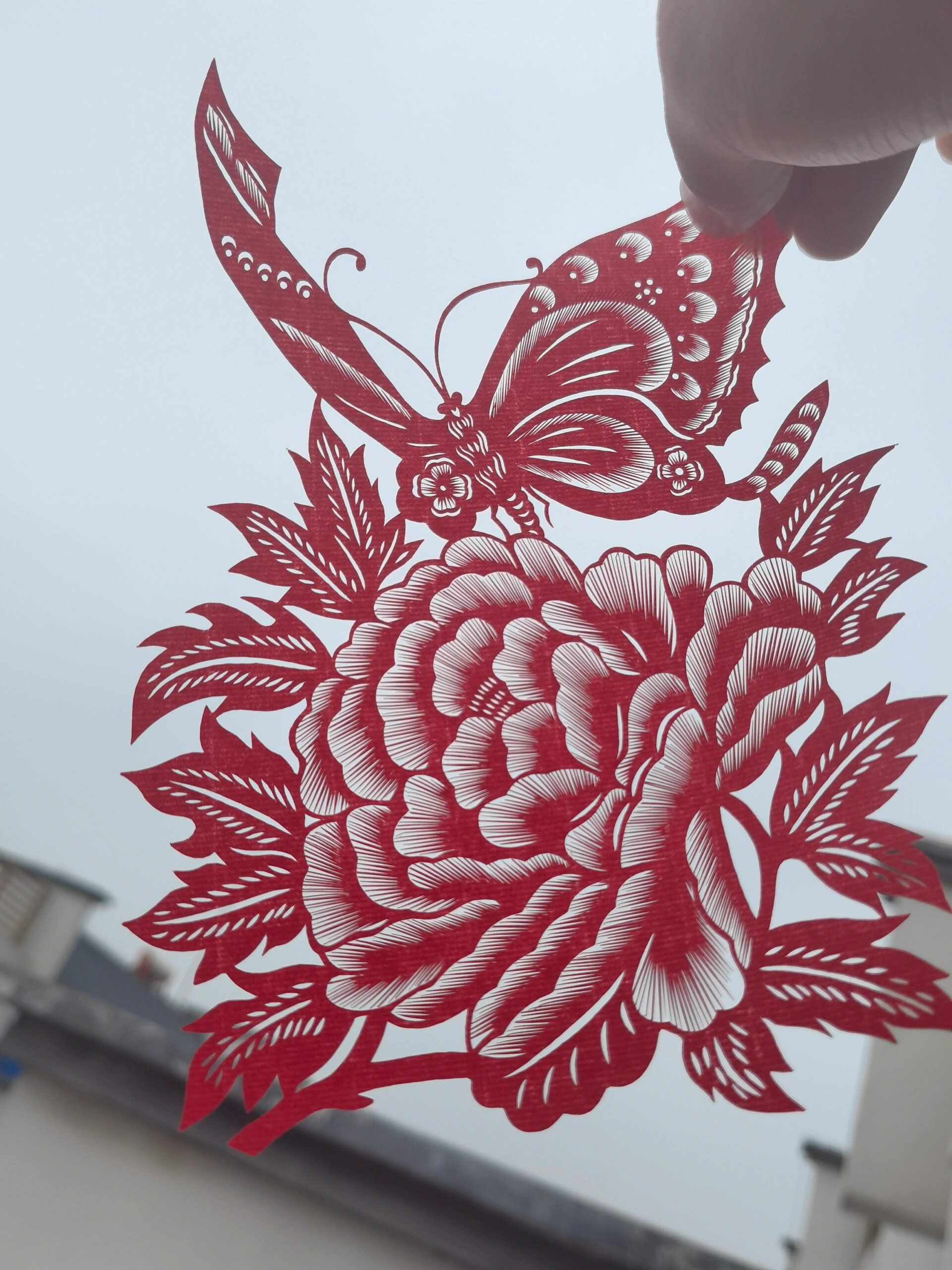 剪纸小作品 蝶恋花