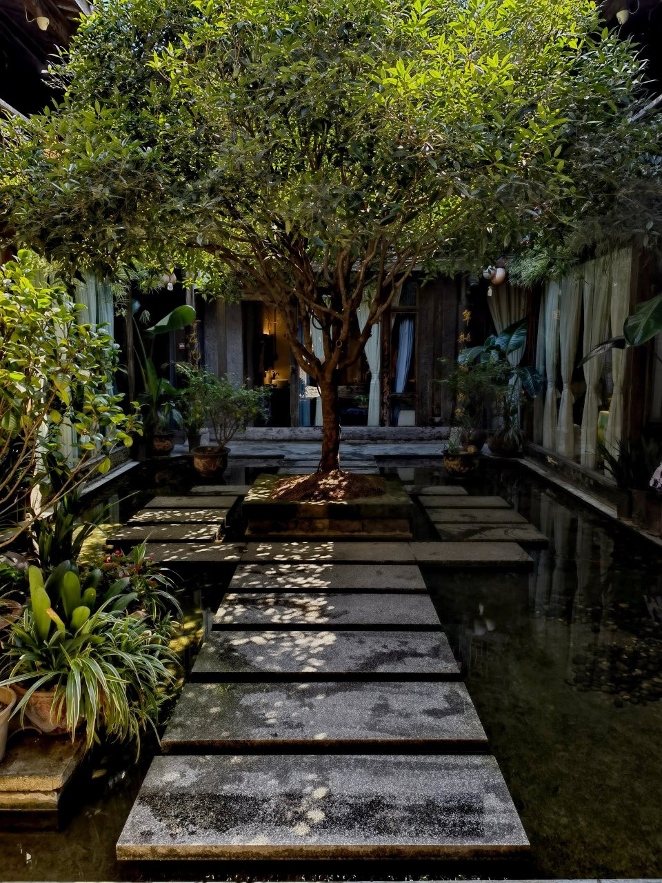 阆中古城 阆中之美 在于有天井的庭院,洒下光照着花草和那棵树形优美