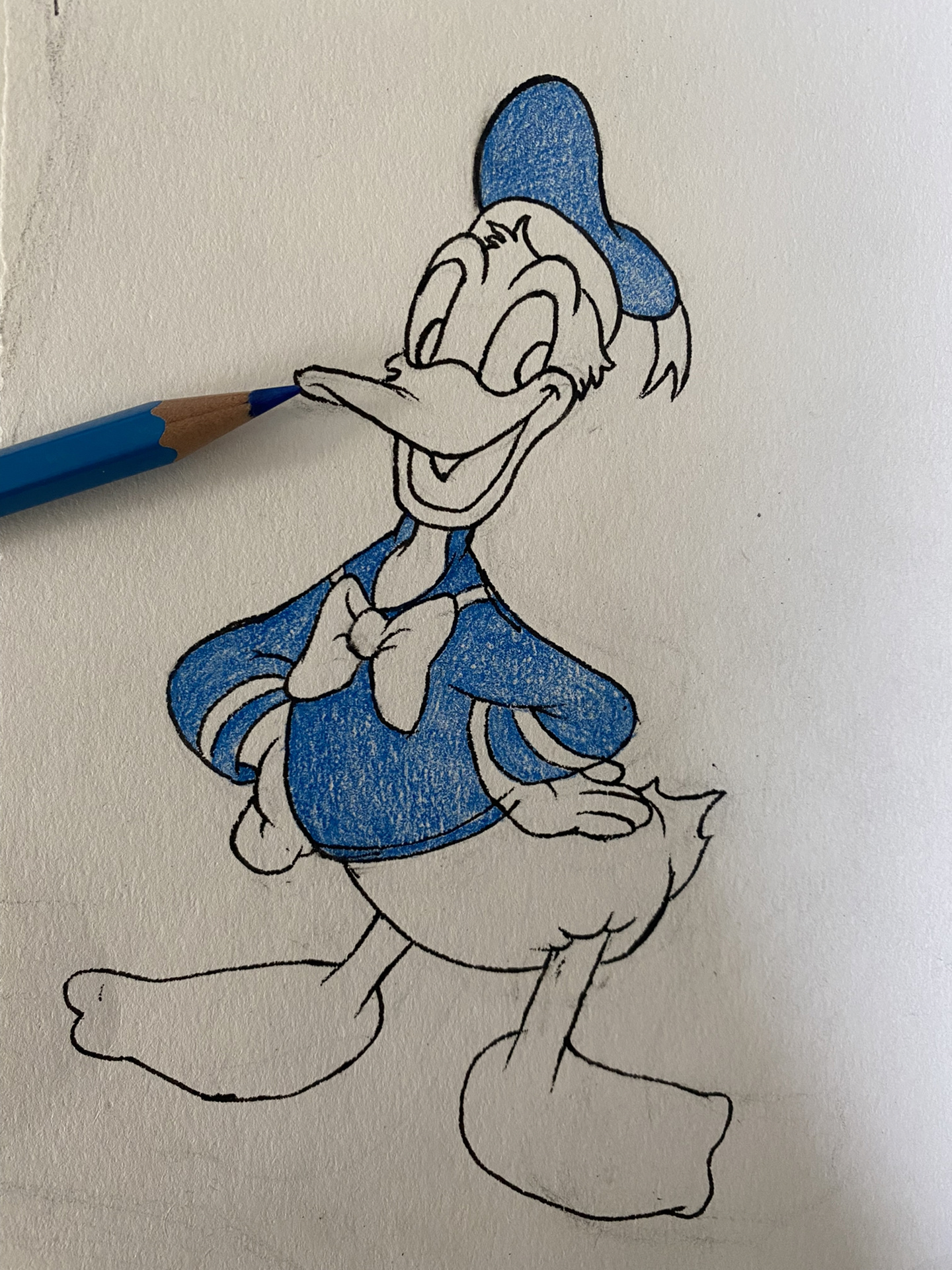 彩铅简笔画#动画形象/唐老鸭