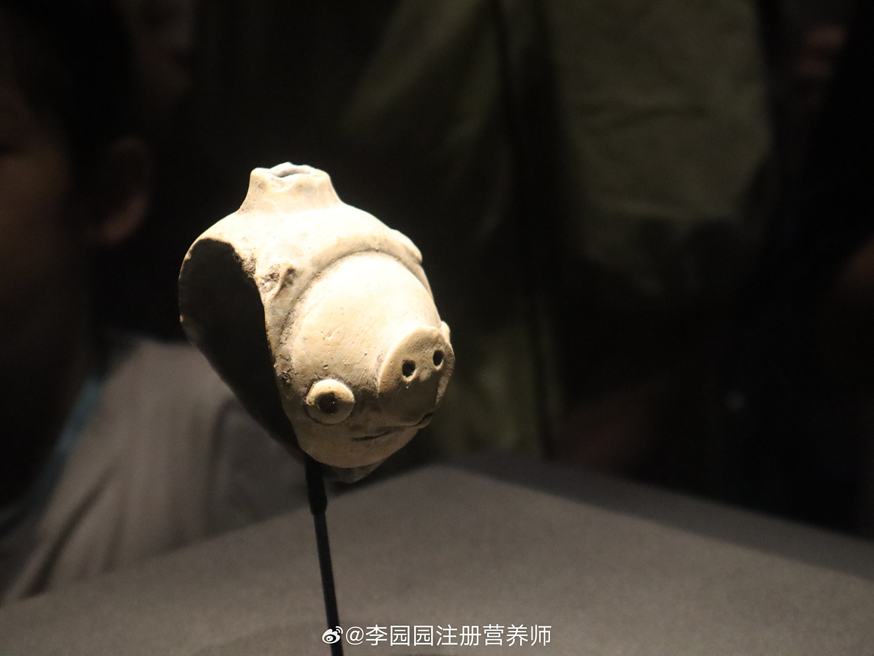 【整理照片】 好喜欢这个三星堆里的小陶猪99,大概3000年前了,可可