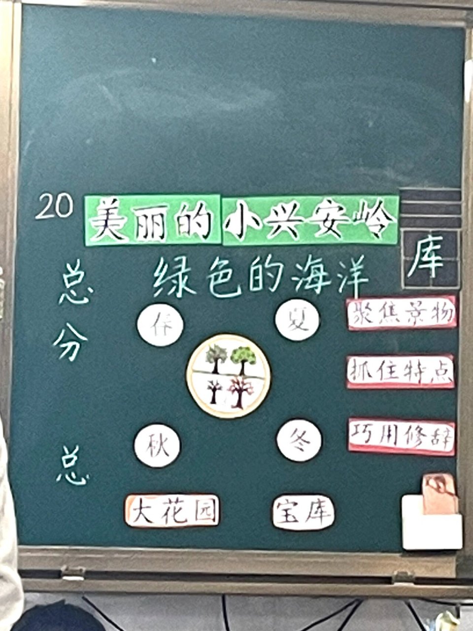 板书设计|三上公开课:《美丽的小兴安岭》