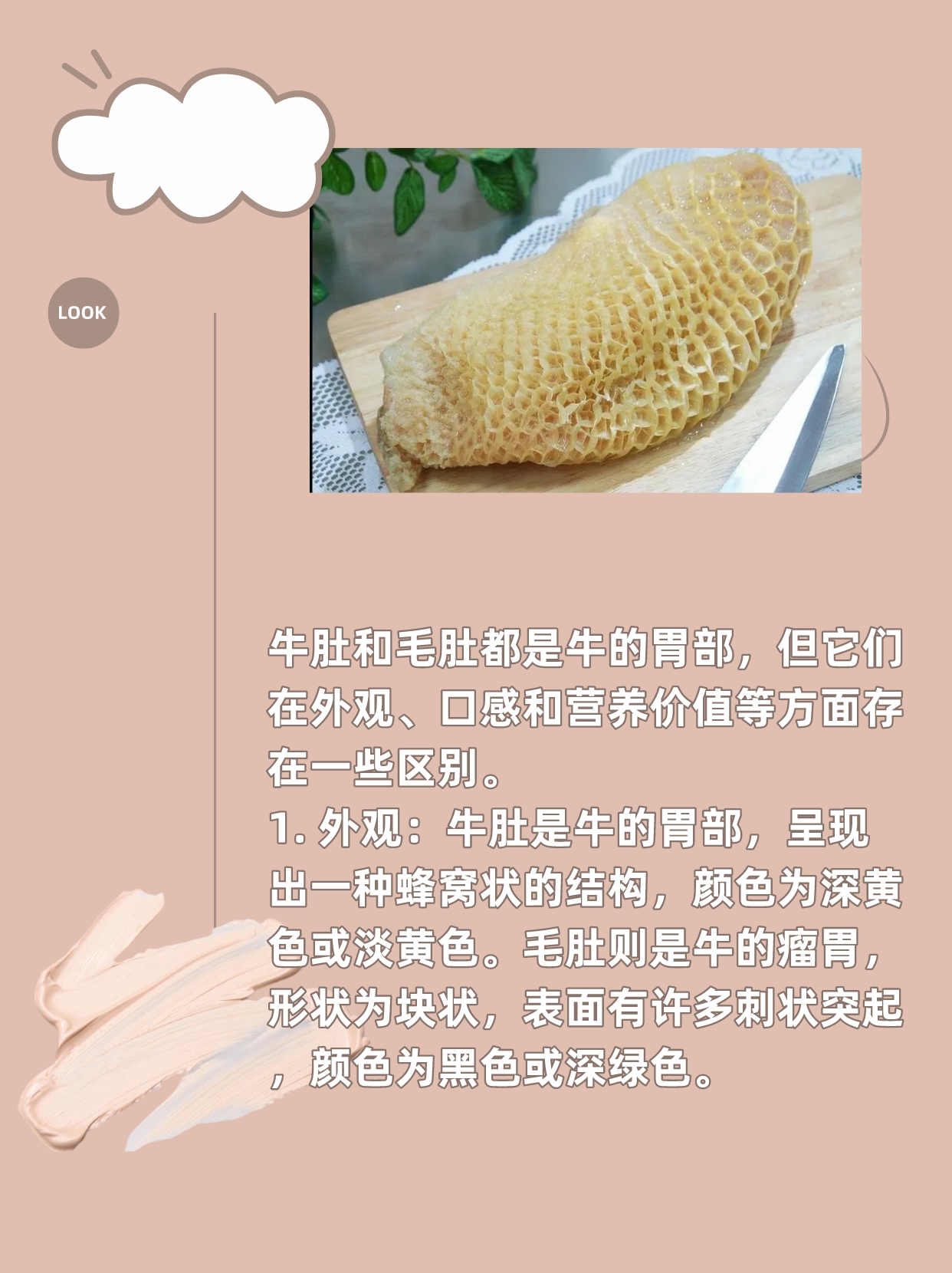牛肚和毛肚有什么区别 牛肚和毛肚都是牛的胃部,但它们在外观,口感和