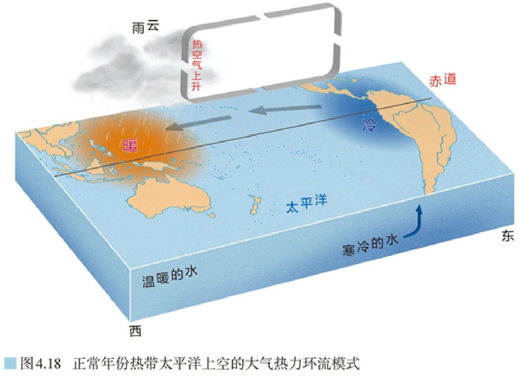 ①在东岸,由于表层海水被风吹走,下层的冷海水会上涌补充,沿岸还有自