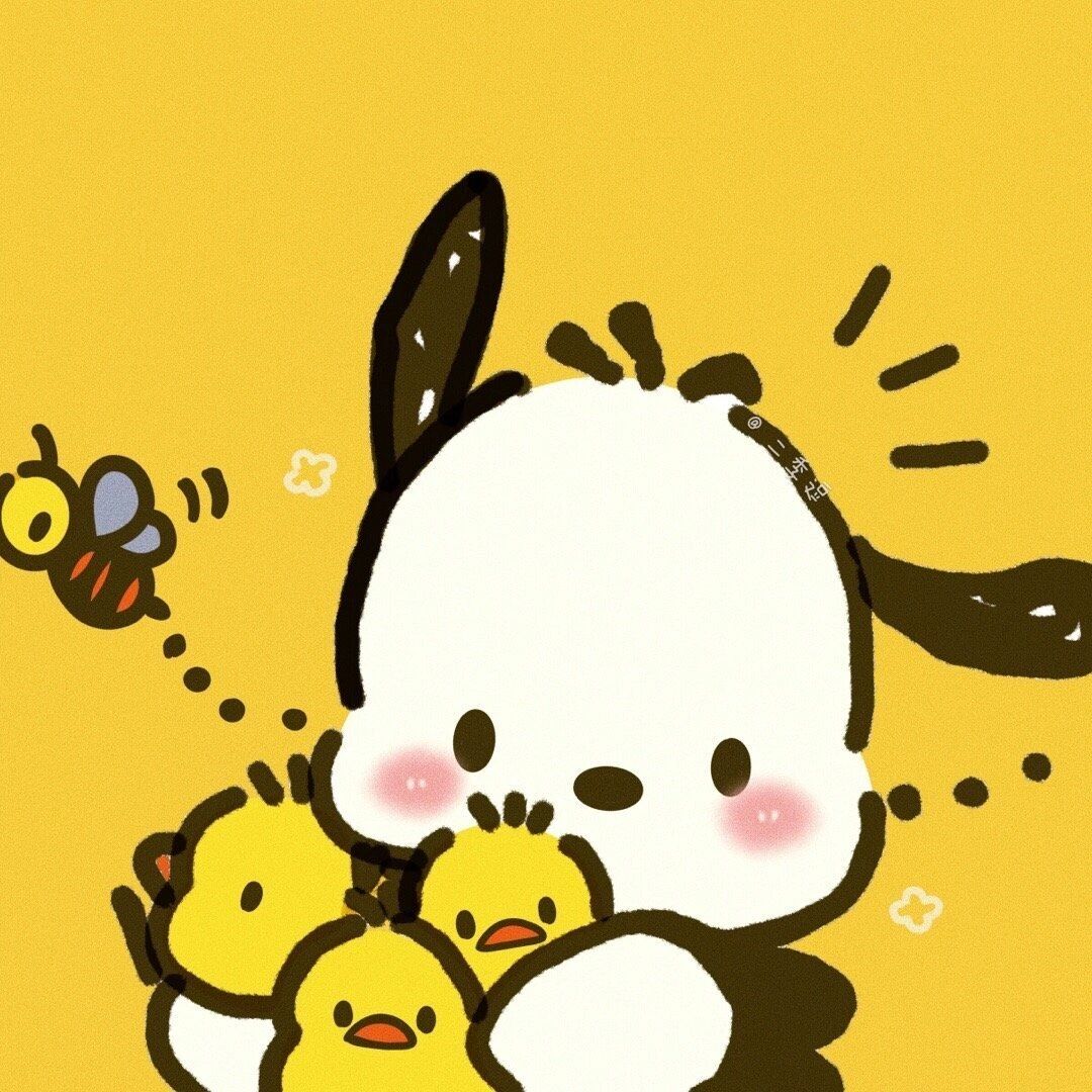 帕恰狗头像 小帕太可爱了