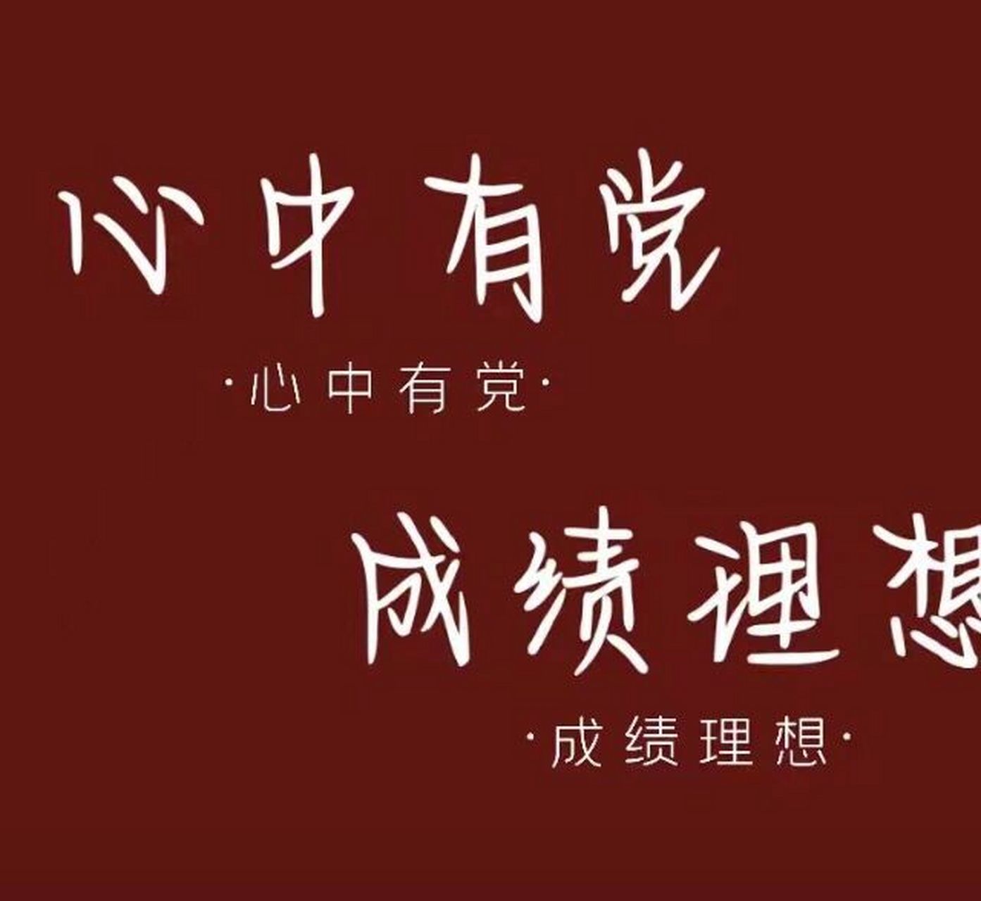 心中有党,成绩理想    心中有党,成绩理想