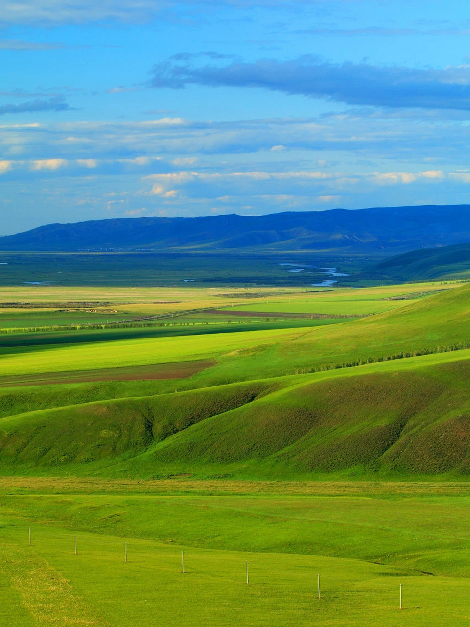 打假75来呼伦贝尔草原要备好高原反应的药92 总会有客人问我