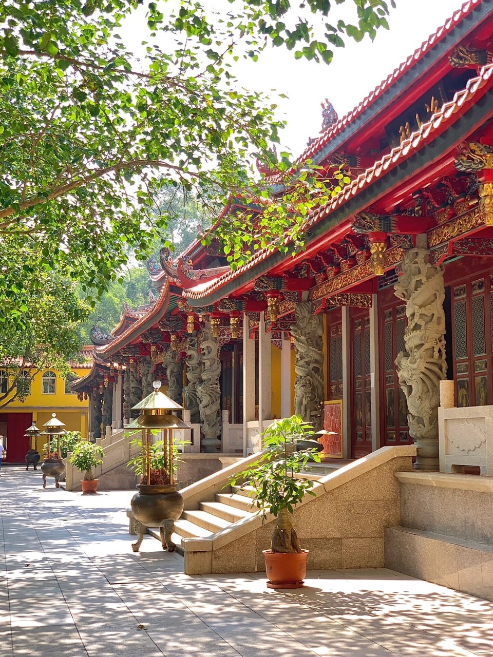 汕头周边游 阳光下的寺庙也太美了吧