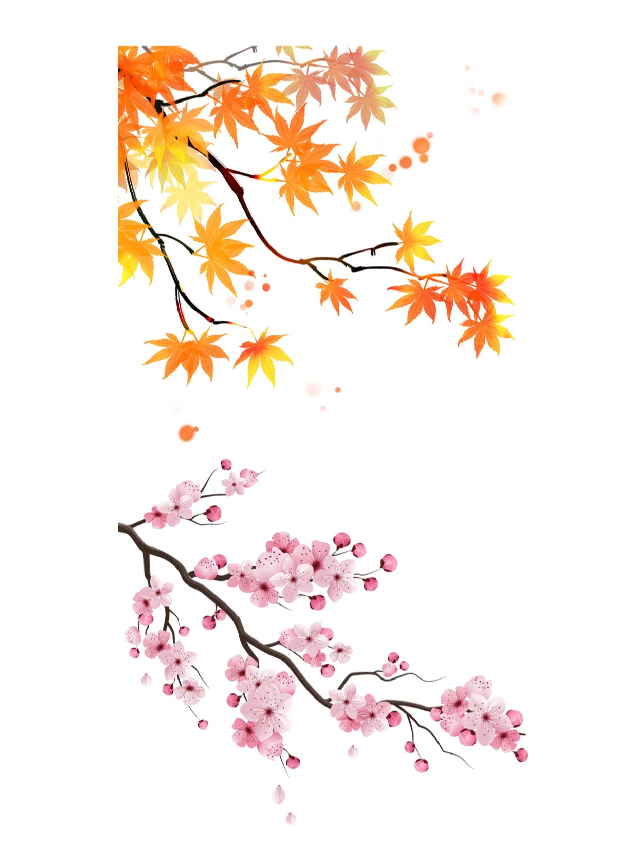 96免抠素材 | 卡通树枝元素