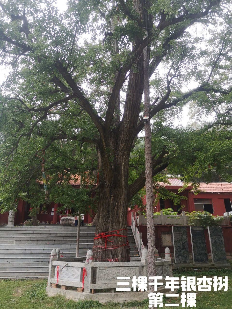 新泰市石莱镇白马寺图片