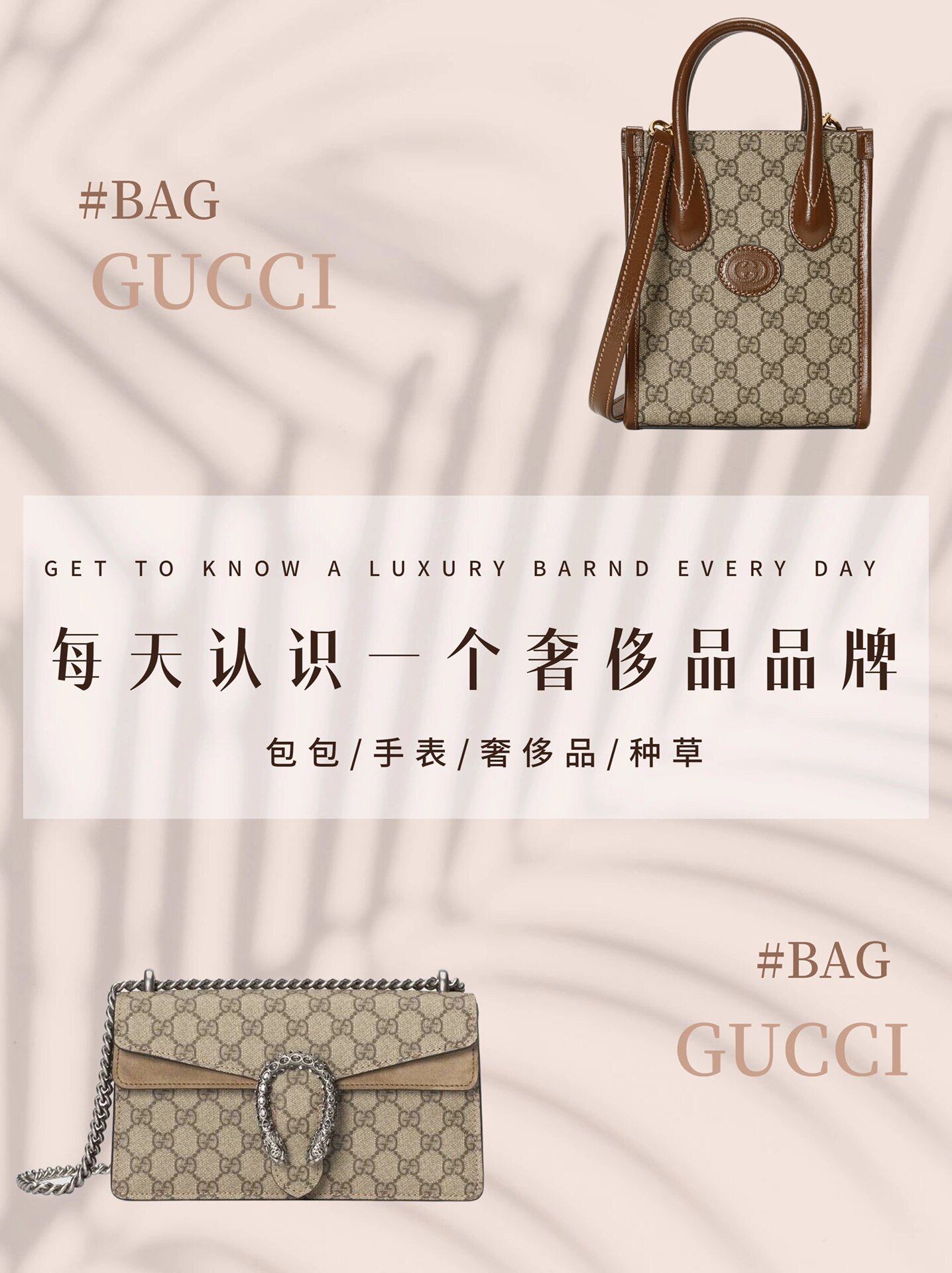 每天认识认识一个奢侈品品牌之古驰