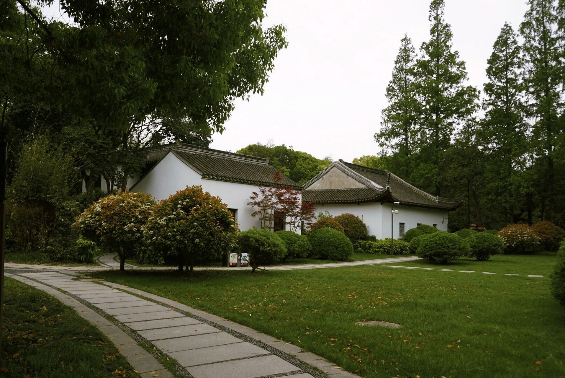 南通啬园幽雅宁静尽显园林美  春天也接近尾声了,郁金香93的花期也