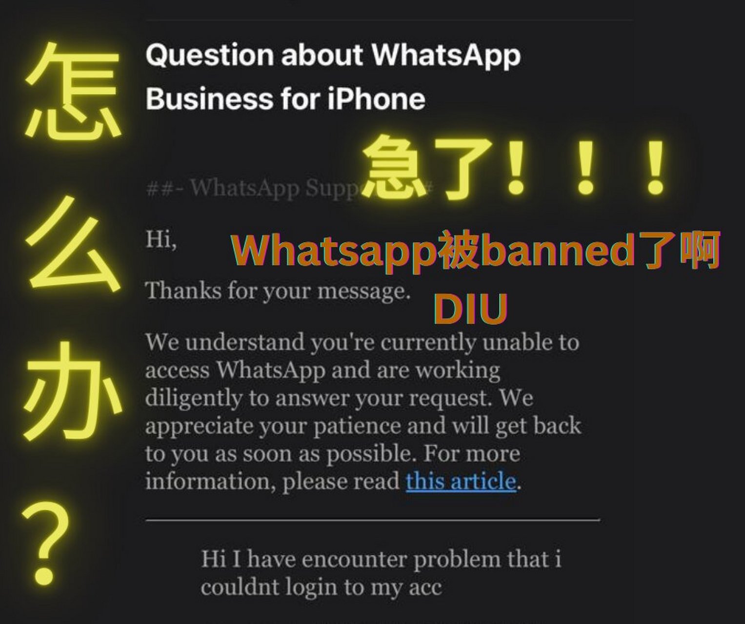 whatsapp官方网站申诉解封-whatsapp申诉不给解封怎么办
