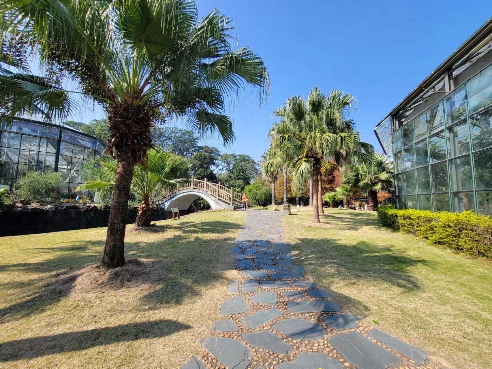 广州 | 植物园一日游9191 99华南植物园 07地铁6号线植物园站