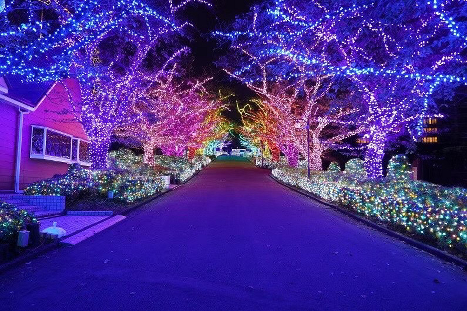 打卡东京读卖乐园—夜景灯光秀91真的美爆了 每年秋冬都会去打卡的