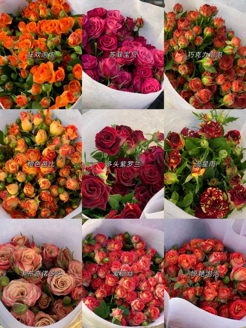 泡泡玫瑰花语合集,均价20一扎有人要吗 秋有三五七言,我有几朵浪漫.