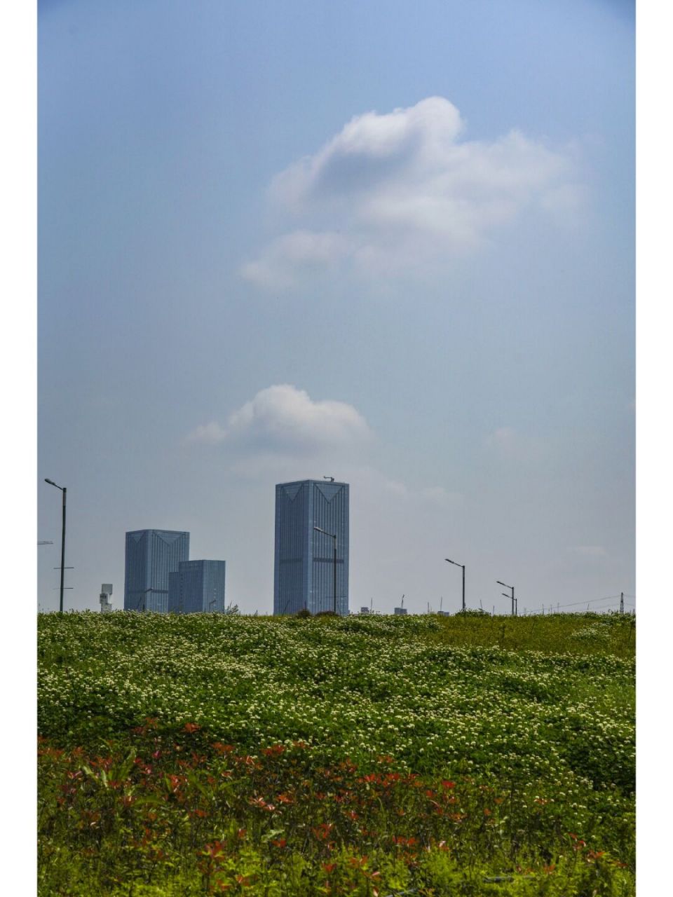 鸭嘴公园 浏阳河风光带旁的马栏山鸭嘴公园: 一个可以露营,踢足球,打