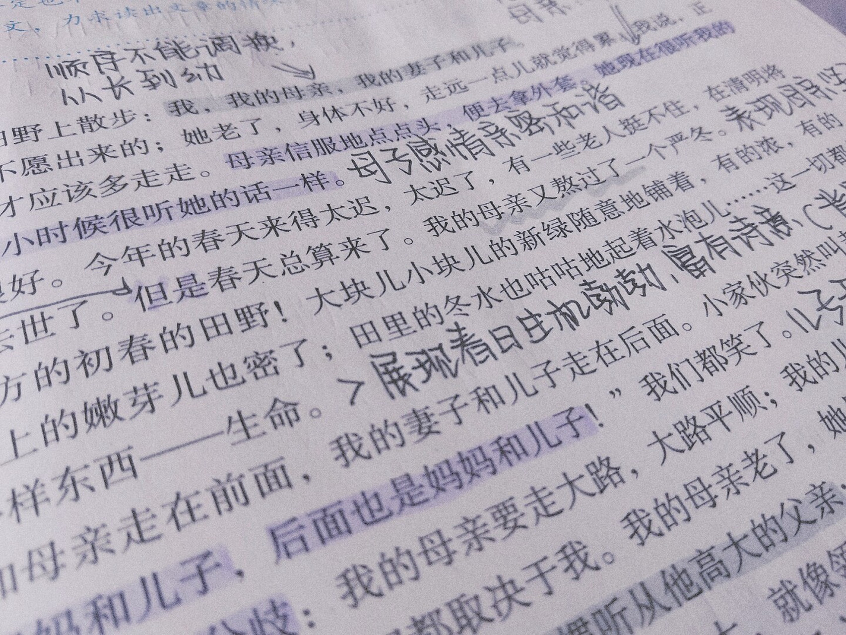 初一语文笔记7815 第六课《散步》笔记 侧拍很好康噢 ～sy字体是