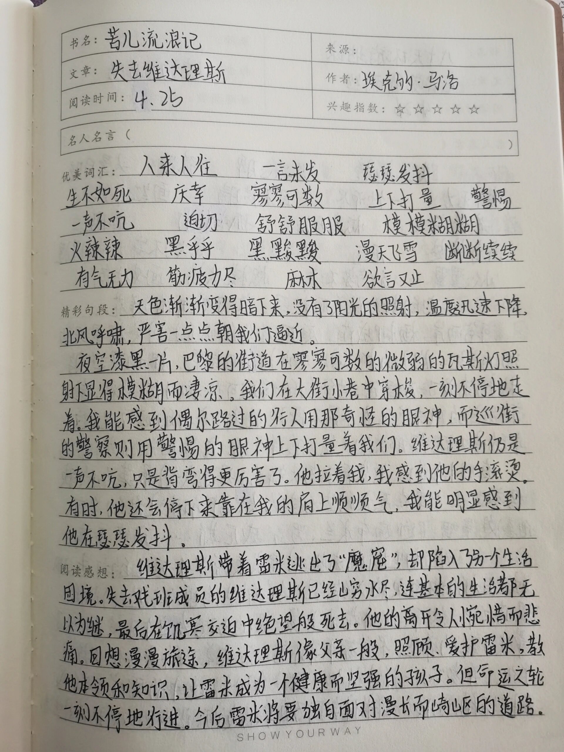 苦儿流浪记读书笔记第六章到第十章