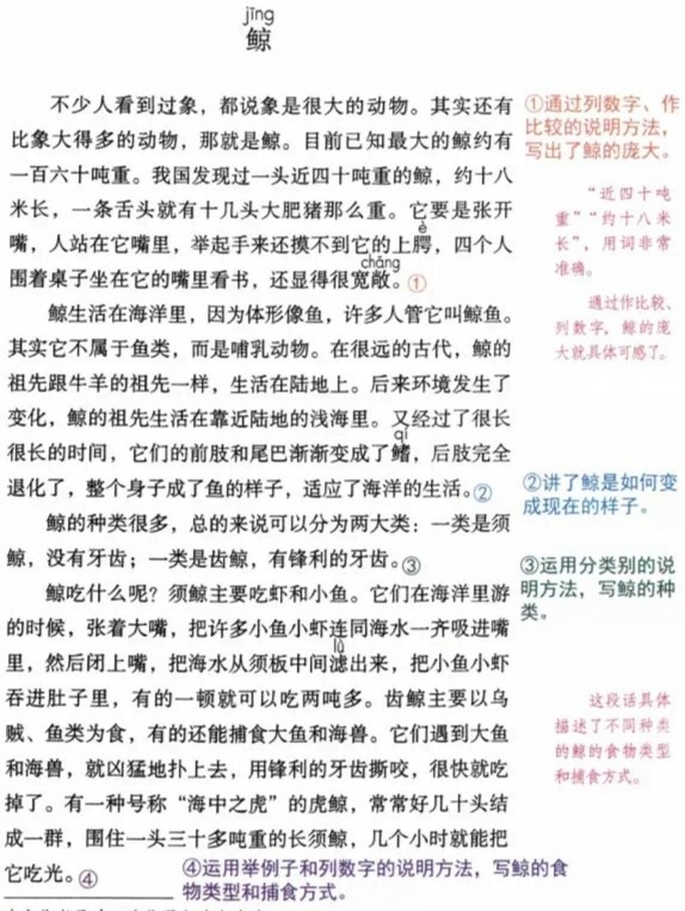 《风向袋的制作》笔记图片