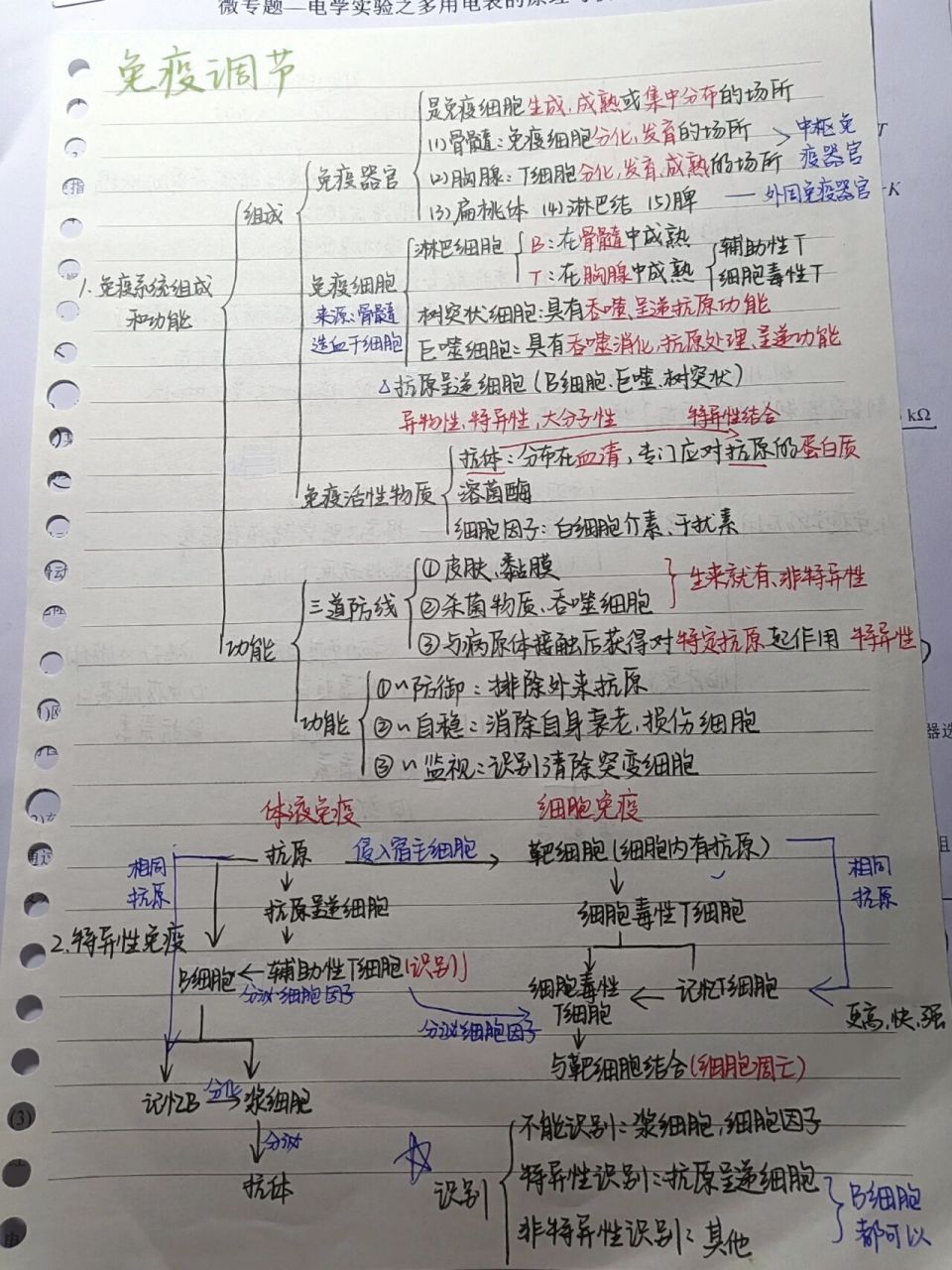 高中免疫调节总结图图片