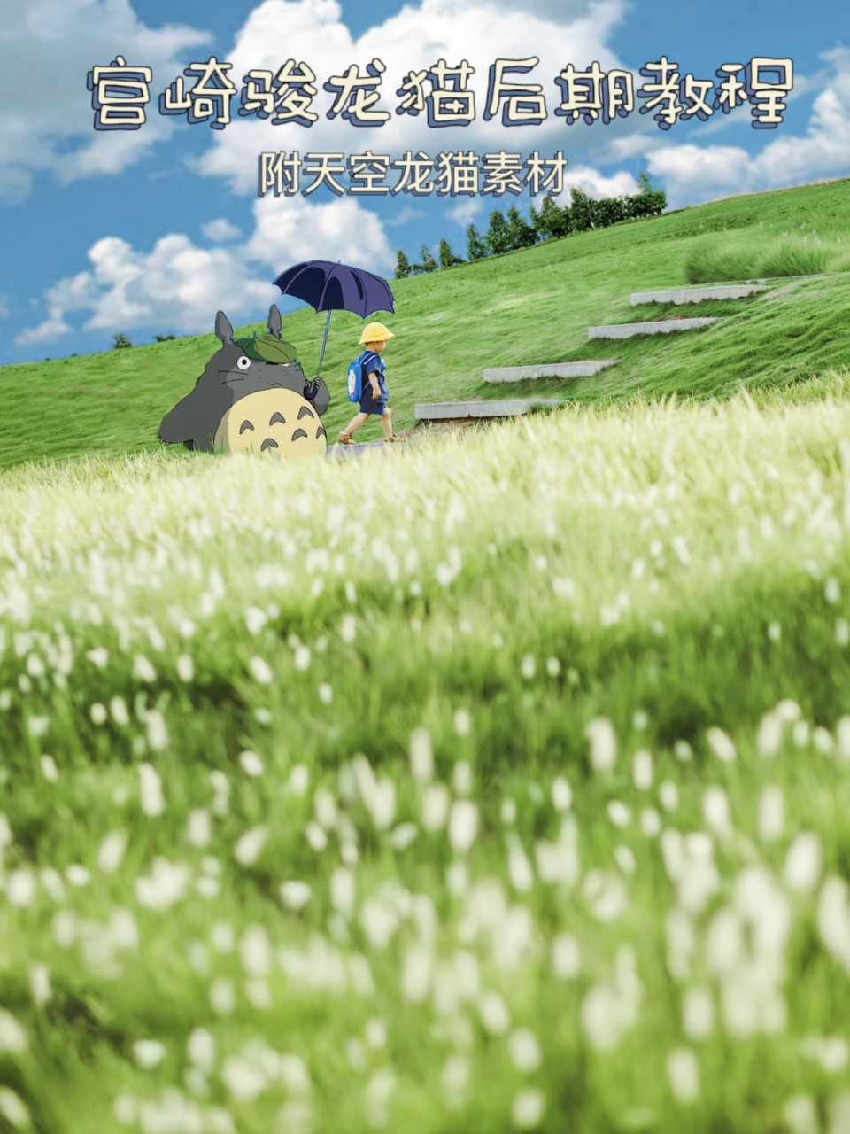 你们要的宫崎骏龙猫后期教程和素材来啦 哈喽,这里是