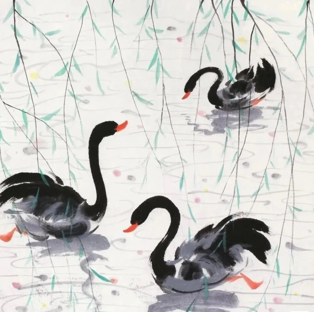 儿童国画系列⑩ ⑤水墨黑天鹅 图三 吴冠中水墨天鹅图 👉颜料:硃砂